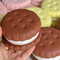 Cake squishy